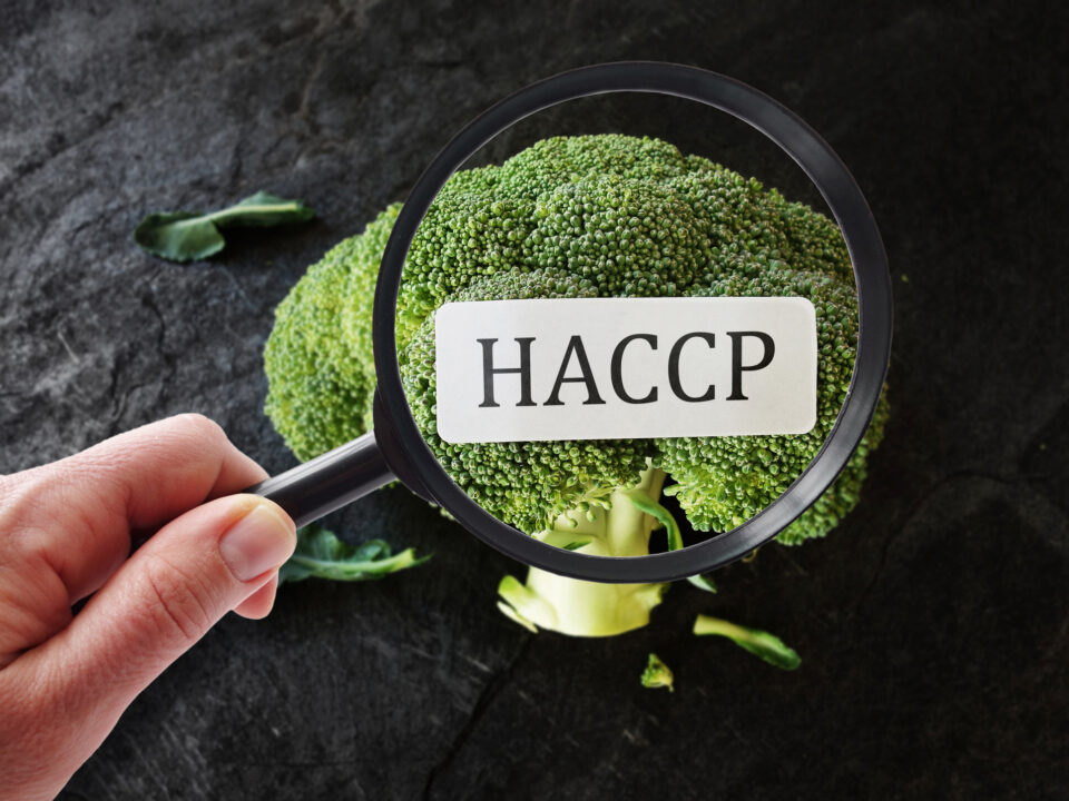 HACCP v šolskih prehranskih obratih